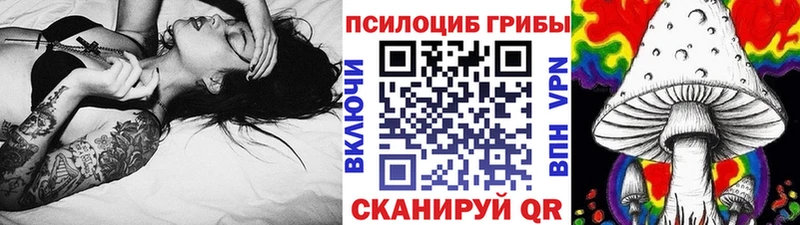 где найти   Баксан  Псилоцибиновые грибы ЛСД 