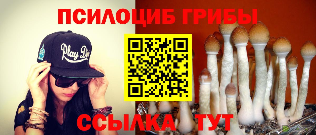 продажа наркотиков  Вход с VPN  Баксан  Галлюциногенные грибы GOLDEN TEACHER 