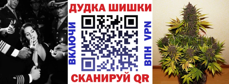 Канабис OG Kush  Баксан 